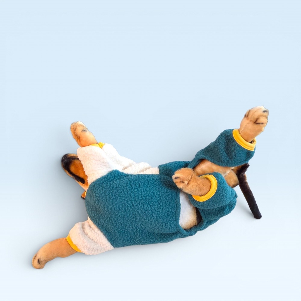 Two Tone Sherpa Fleece Dog Pajamas Teal Cream Pet Onesie with D-Ring Size Small - Picture 5 of 9